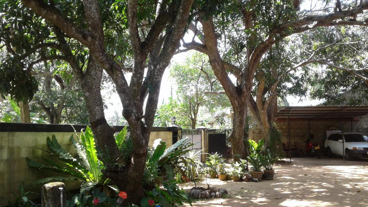 Water Front Home Stay And Resort 아누라다푸라 외부 사진